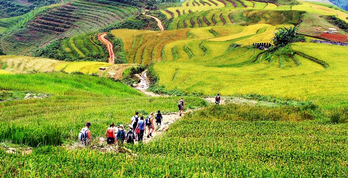Highlight Vietnam Tour Package